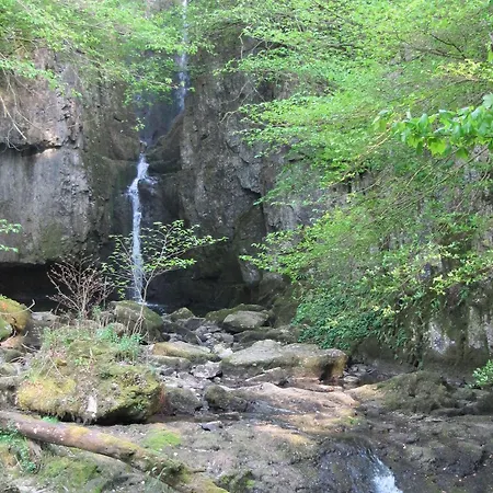 Holiday home Hollyhock