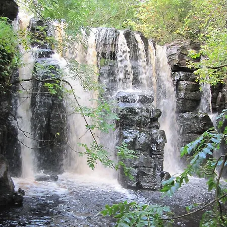 Hollyhock Holiday home *