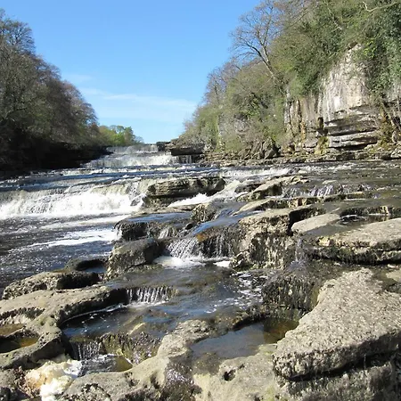 Hollyhock Holiday home