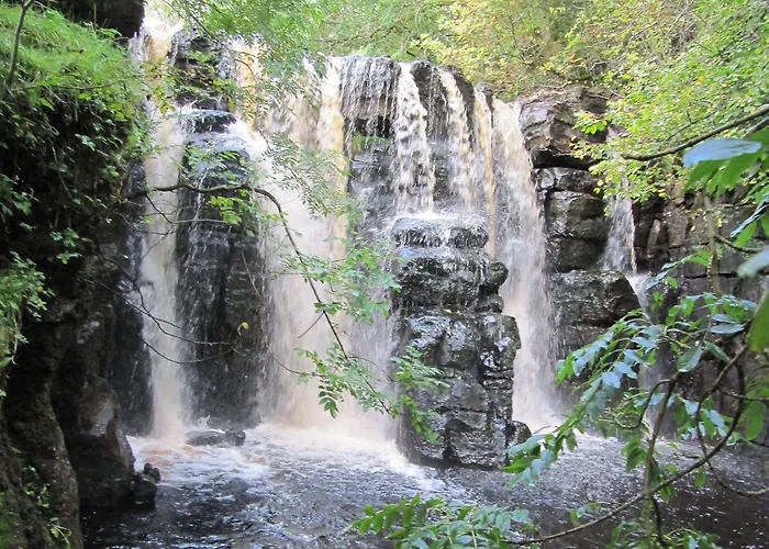 Hollyhock Hébergement de vacances *