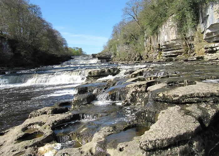 Hollyhock Hébergement de vacances